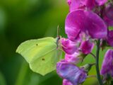 Moderne Tipps und Ideen für die schnelle und einfache Gestaltung der Terrasse